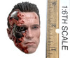 Terminator 2: T-800 (Battle-Damaged) (Version 2.0) (DX46)  - Head w/ Neck Joint (Heavy Battle Damaged) (Electronic)