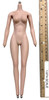 SW Toys: Valentine 3.0 - Nude Body (Metal Endoskeleton)