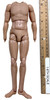 WWII British Pilot Squadron Leader “Tom” - Nude Body w/ Feet