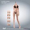 Big Breast Flexible Seamless Female Bodies (Pale) (T303P) - Boxed Figure