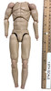 DC Metropolis Journalist - Nude Body