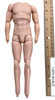 WWII German Wehrmacht Oberfeldwebel “Steiner” - Nude Body