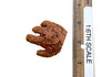 The Fantastic Four: First Steps - The Thing - Right Thing Relaxed Hand