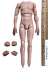 WWII German SS Polizei-Division NCO “Fogel” - Nude Body w/ Hands