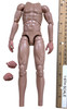WWII German 9th Panzerdivision “Hohenstaufen” - Nude Body w/ Hands