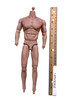 Fire Toys Bane: Dark Knight - Nude Body