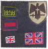 British Army Tank Commander - Patches