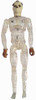 Invisible Man - Clear Nude Figure