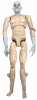 Young Frankenstein: Igor - Nude Figure (Note the Knobby Features)