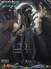 Alien: Big Chap - Boxed Figure