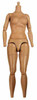 TrueType: Cuban Female - Nude Body