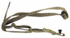 10th Special Forces Group - Strap