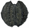 Clash of the Titans: Perseus - Shield