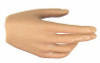 Terminator 2: Judgement Day: Sarah Connor - Right 2 Finger Pointing Hand