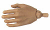 TrueType: Caucasian Male Advanced  - Left Open Hand (Includes Joint)