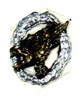 German 3rd Fallschirmjager Division - Badge