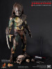 Predators: Falconer Predator - Boxed Figure