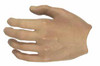 Assassin's Creed II: Ezio - Left Bare Relaxed Hand