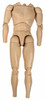 TrueType: Caucasian Male Narrow TTM18 - Nude Body