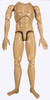 Avenger - Nude Figure (No Head)