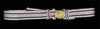 Hermann G. v2 - Belt