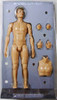 Evolution - Male Caucasian Nude - Boxed Figure Removed From Packaging