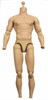 TrueType Figure: Caucasian Muscular TTM19 - Nude Body (Includes Neck Joint)