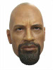 LT - Halbert - Loose - Head (The Rock)