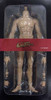 CM Toys Muscular Nude Body: Caucasian Light HJ001 - Boxed Figure