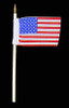 Frank: USMC Force Recon - Flag (apx 2 in.)