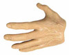 Roman Gladiator v1 (H004) - Left Open Hand
