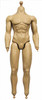 Roman Gladiator v2 (H005) - Nude Body (Includes Hand Joints, No Head) (Seamless Body)