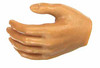 ZY - Male Muscular Nude - Left Relaxed Hand