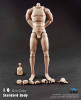COO: B34002 Standard Male Body with Narrow Shoulders 10.6 Inches Tall - Packaged Figure Set