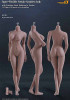 Seamless Female S12D Large Breast (With Swapable Feet): Suntan w/ Metal Structure - Boxed Figure