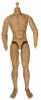 Gladiator General - Nude Body (Limit 1)