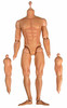 William Wallace (Deluxe Version) - Nude Body w/ Alternate Arms (AS IS) No Neck Joint