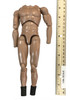 Star Wars: The Force Awakens: Han Solo - Nude Body (See Note)