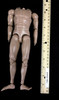 Officer Zombie - Nude Body w/ Hand Joints and Feet