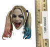 Suicide Squad: Harley Quinn - Head (No Neck Joint)