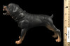 Gangster Kingdom: Heart 3 Bartley - Rottweiler Dog