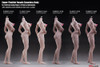 Super Flexible Female Seamless Body (PLMB2017-S22A) (Medium Bust - Pale - Body Builder Physique) - Boxed Figure