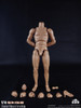 COO: BD007 - Male Muscle Arm Body Set - 25cm Tall