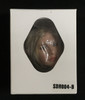 European Headsculpts - Boxed Accessory (Set B - Curly Hair)