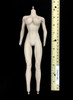 Gekido: Cleo - Nude Body (Metal Endoskeleton)
