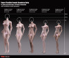 Super Flexible Female Seamless Body (PLMB2018-S25B) (Medium Bust - Suntan - Fitness Physique) - Boxed Figure