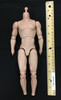 The Princess Bride: Westley (The Dread Pirate Roberts) - Large Nude Body w/ Neck and Hand Joints