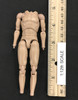 Palm Empire: Knights Templar (1/12th Scale) - Nude Body