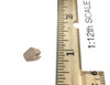 Female Seamless Body (1/12th Scale) (T01B Medium Bust Suntan) - Left Gripping Hand