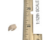 Female Seamless Body (1/12th Scale) (T01B Medium Bust Suntan) - Right Relaxed Hand